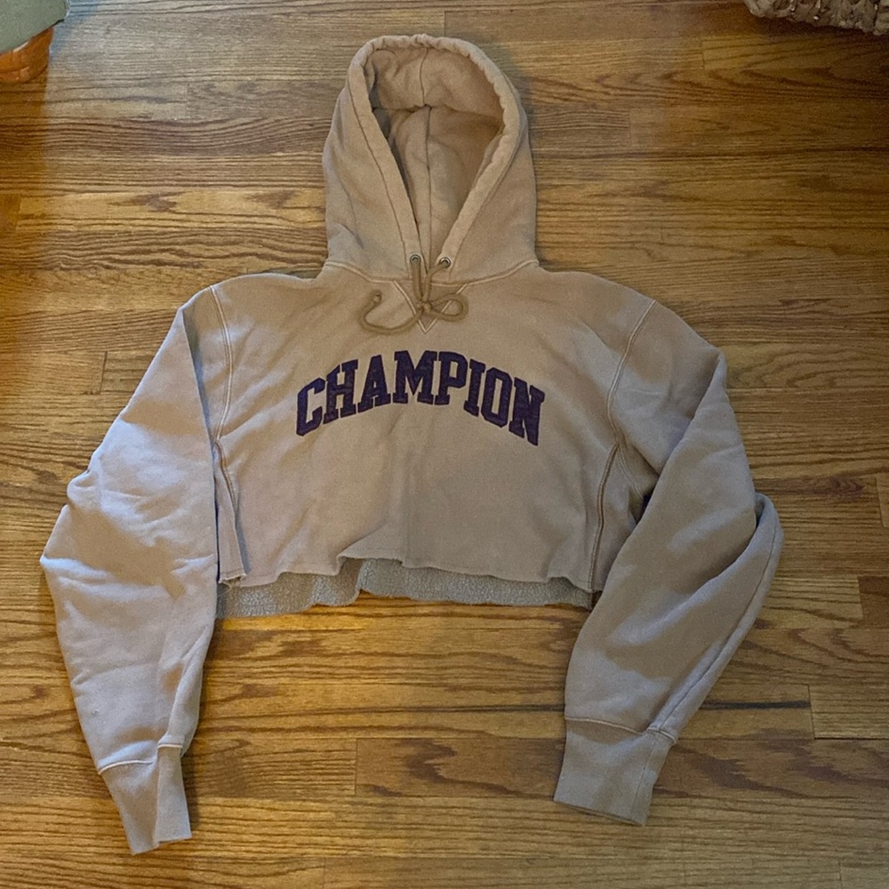 Champion vintage style crop sweatshirt